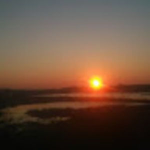 Meet your Posher, Sunshine